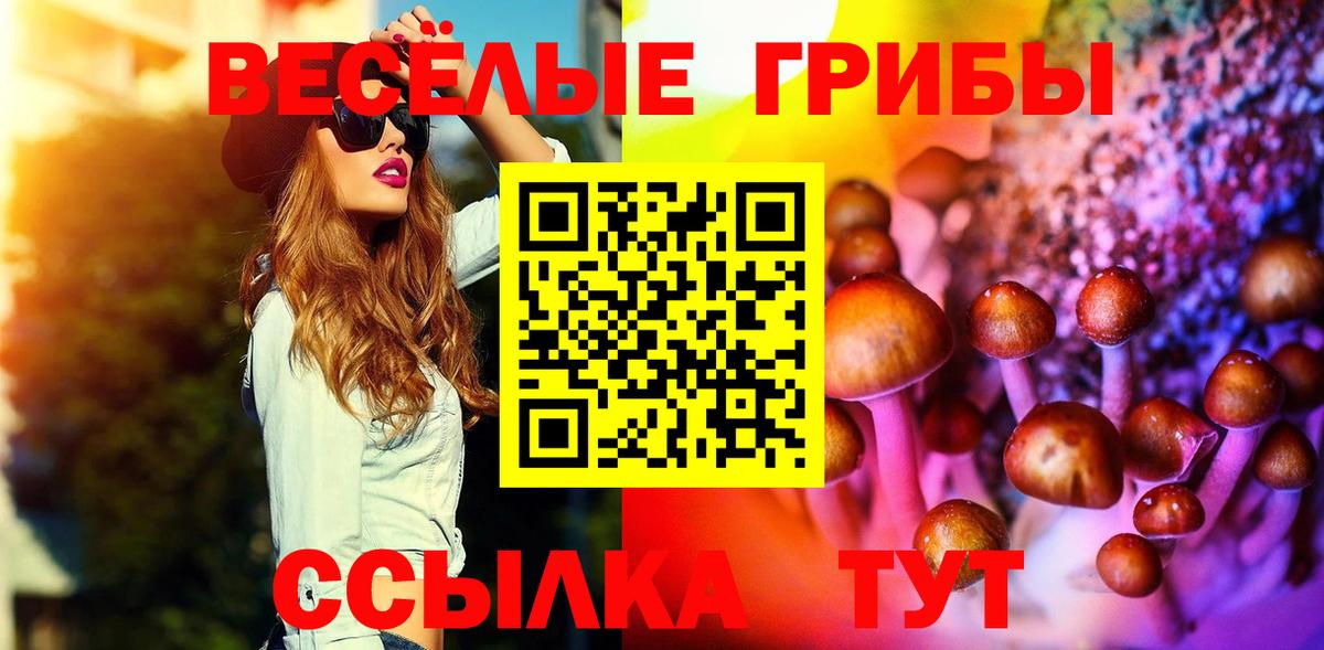 Галлюциногенные грибы Magic Shrooms  Вход с VPN  Луга 